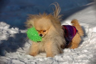 Feb16_08_201.jpg