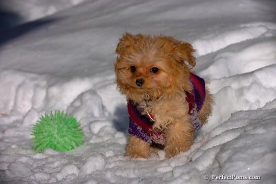 Feb16_08_203.jpg