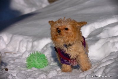 Feb16_08_204.jpg