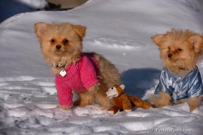 Feb16_08_207.jpg