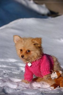 Feb16_08_208.JPG