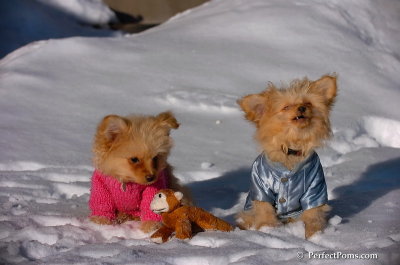 Feb16_08_210.JPG