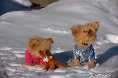 Feb16_08_211.JPG
