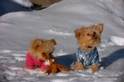 Feb16_08_212.JPG
