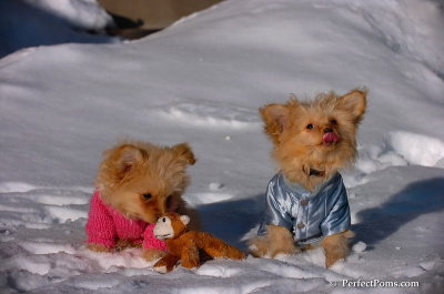 Feb16_08_213.JPG