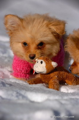 Feb16_08_217.JPG