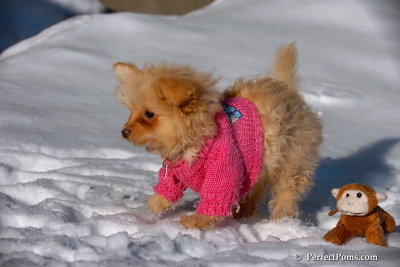 Feb16_08_220.jpg