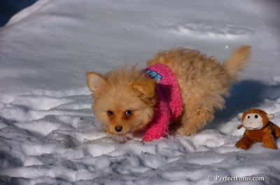 Feb16_08_224.JPG
