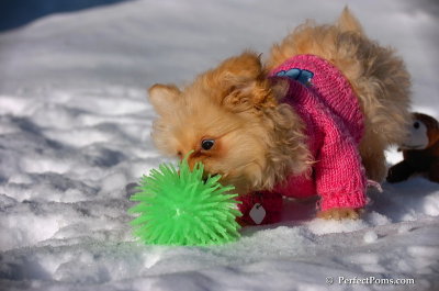 Feb16_08_225.JPG