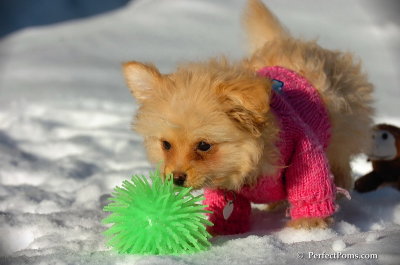 Feb16_08_226.JPG