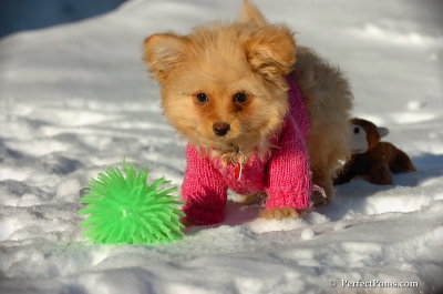 Feb16_08_227.JPG