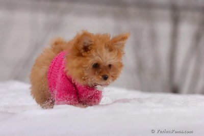 Feb22_08_245.jpg