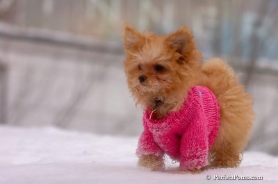 Feb22_08_247.jpg
