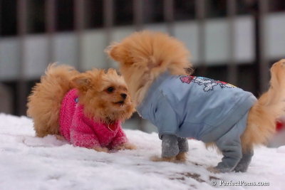 Feb22_08_295.jpg