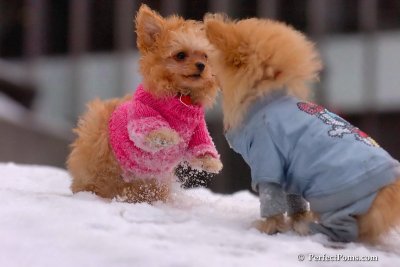 Feb22_08_298.jpg