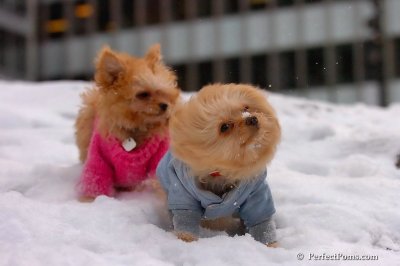 Feb22_08_304.jpg