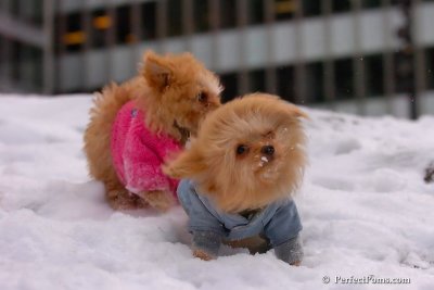 Feb22_08_305.jpg