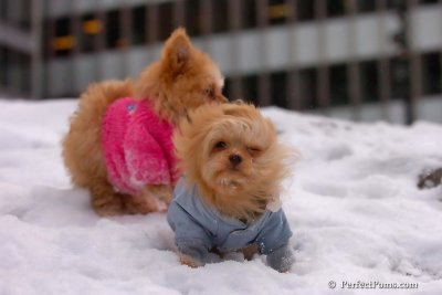 Feb22_08_306.jpg