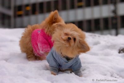 Feb22_08_308.jpg