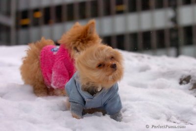 Feb22_08_309.jpg