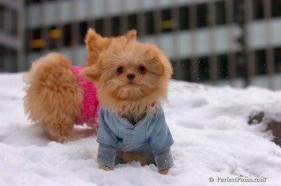 Feb22_08_315.JPG