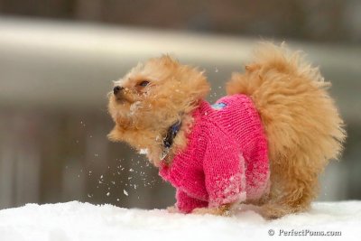 Feb22_08_323.jpg