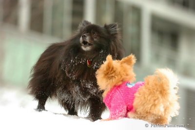 Feb22_08_339.jpg