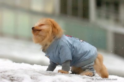 Feb22_08_357.jpg