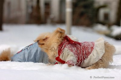 Feb22_08_107.JPG