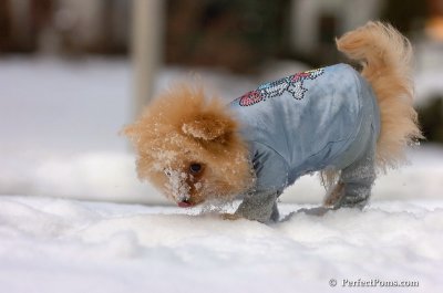 Feb22_08_112.JPG