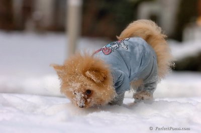 Feb22_08_113.JPG