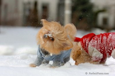 Feb22_08_119.jpg