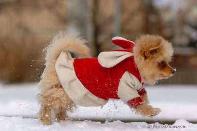 Feb22_08_168.jpg