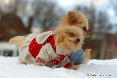 Feb22_08_202.jpg