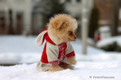 Feb22_08_209.jpg