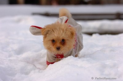 Feb22_08_232.JPG