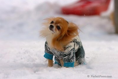 Feb22_08_008.jpg
