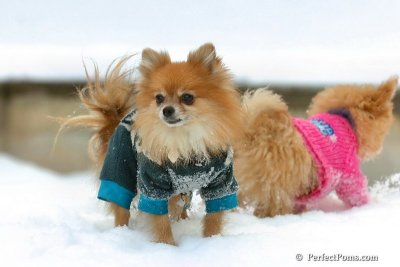 Feb22_08_011.jpg