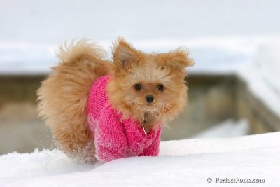 Feb22_08_013.jpg
