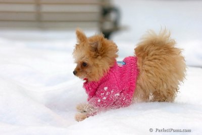 Feb22_08_016.jpg