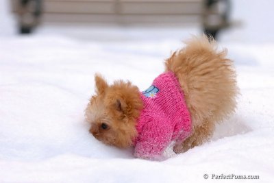 Feb22_08_018.jpg