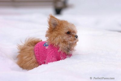Feb22_08_019.jpg