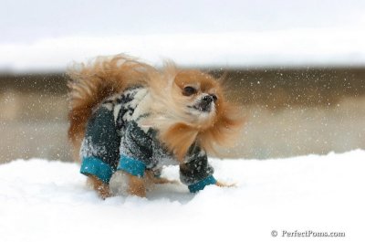 Feb22_08_029.JPG