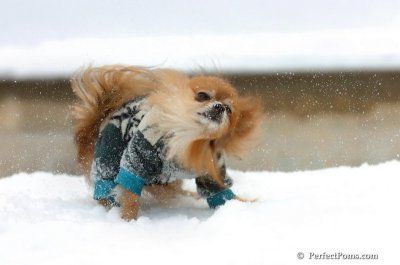 Feb22_08_030.JPG