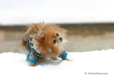 Feb22_08_031.JPG