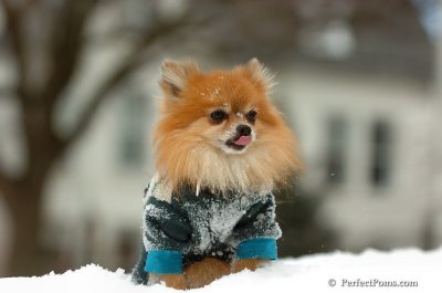 Feb22_08_057.JPG