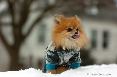 Feb22_08_058.JPG