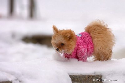 Feb22_08_060.jpg