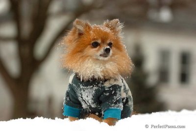 Feb22_08_077.jpg
