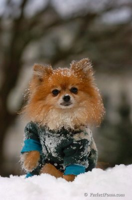 Feb22_08_079.JPG